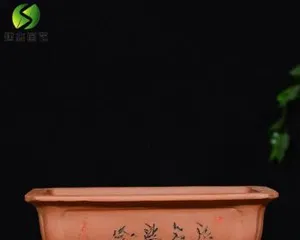 M槽盆 Flower Care Guide (Flower Varieties Suitable for Planting in M槽盆 and Precautions)2