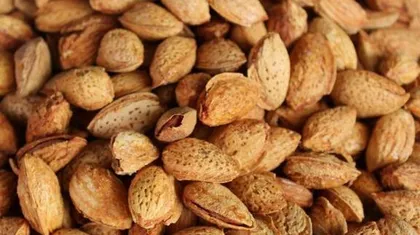 Is an almond a fruit? (Exploring the true identity of an almond)