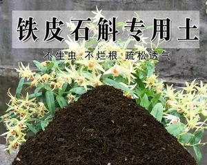 Selection and Care of Acid-Loving Plants (Understanding the Characteristics of Acidic Soil, Creating a Beautiful Garden) 2