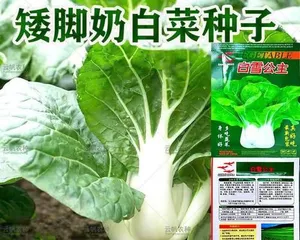 Planting and Care Methods for Mai Bai Cai (Detailed Explanation of Planting Season, Soil, and Fertilization Points) 3