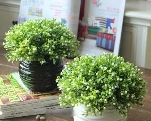 Milan Old Stump Cultivation Methods and Care Tips (Exploring the Way to Cultivate Milan Old Stumps to Make Your Aquarium More Vivid) 3