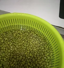 Bean Sprout Growing Environment and Conditions (Exploring the Growth Habits and Care Techniques of Bean Sprouts) 2