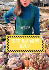 How to Care for Succulents (Mastering Watering Techniques for Healthy Growth) 2