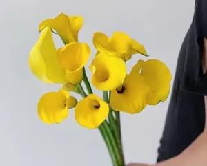 Flower arrangement experts teach you how to care for calla lilies (Make your calla lilies bloom beautifully, you must master these care tips!) 2