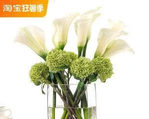 Flower arrangement experts teach you how to care for calla lilies (Make your calla lilies bloom beautifully, you must master these care tips!) 3