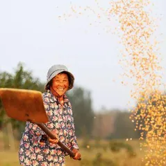 Cultivation Guide for Crops in Cold Regions (From Site Selection to Cultivation, Easily Grow Crops Suitable for Cold Regions)