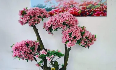 Growing and Caring for Rhododendrons (Simple and Easy Methods for Healthy Growth) 3