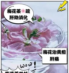 How to avoid plum blossom leaves wilting? (Master the correct maintenance methods to keep plum blossoms evergreen and not wither easily) 2