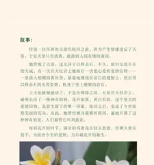 Creating a Stunning Garden - A Complete Guide to Plumeria Care (Step-by-step Guide to Caring for Plumeria for a Longer Blooming Period) 2
