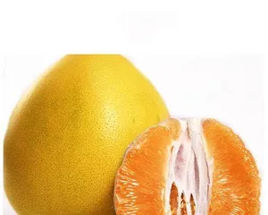 Red pomelo bears fruit in a few years, detailed explanation of planting techniques and maintenance methods (master key skills, harvest is king) 3