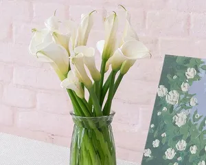 Care Tips for Calla Lily Flowers (Creating a Beautiful Flower Bed in Full Bloom) 2