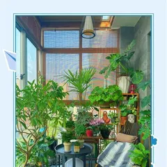 夏日户外植物的养护秘籍（打造炎热夏天的绿色避难所）2