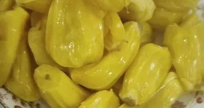 Jackfruit Fruiting Period and Its Care Management (Exploring the Length of Jackfruit Fruiting Period and the Best Care Methods) 3