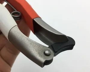 Complete Guide to Pruning Flowers and Trees – Creating a Beautiful Garden (Pruning Techniques, Timing, Frequency, and Precautions)