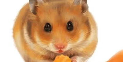 Can hamsters eat apples? (Hamster Recipe Exploration, Understanding Hamster-Friendly Foods)
